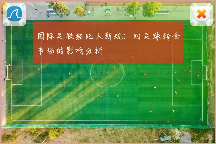 国际足联经纪人新规：对足球转会市场的影响分析