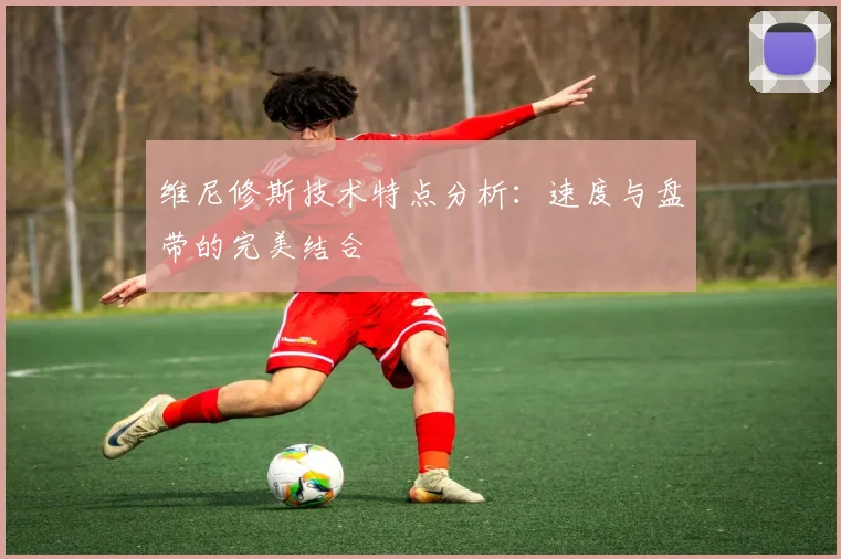 维尼修斯技术特点分析：速度与盘带的完美结合